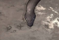 BL Manhwa A Snake Hole 19. Bölüm Türkçe Okuma Linki ve Spoiler, Gerginlikler Yeniden Tırmanıyor